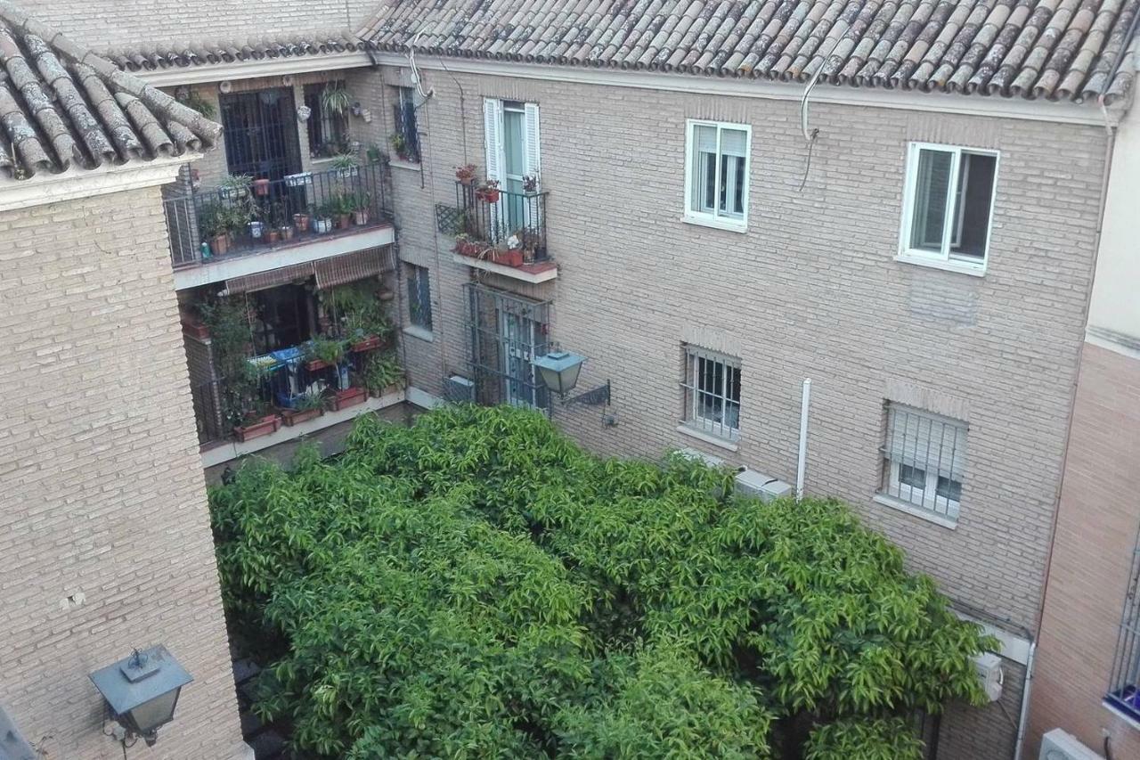 Alfalfa Home Seville Ngoại thất bức ảnh